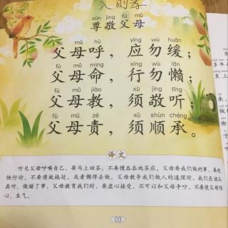 弟子规经典诵读教案_弟子规教案_教弟子规教案怎么写