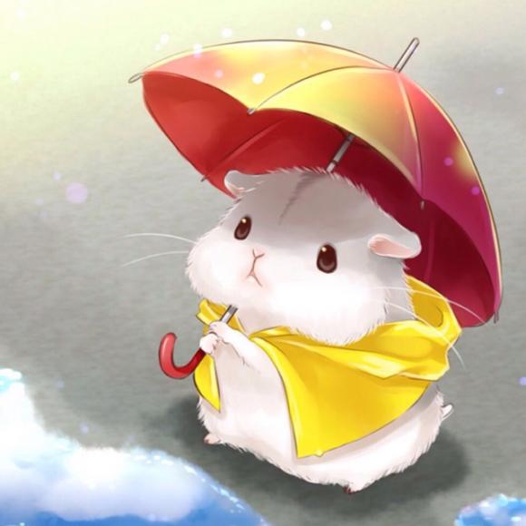 田鼠太太的项链