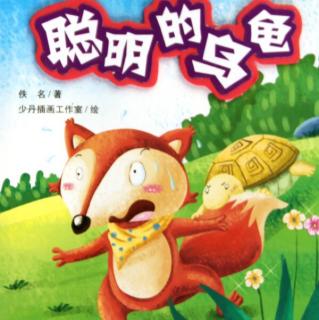 聪明的乌龟_猪聪明还是狗聪明_猴子聪明还是狗聪明