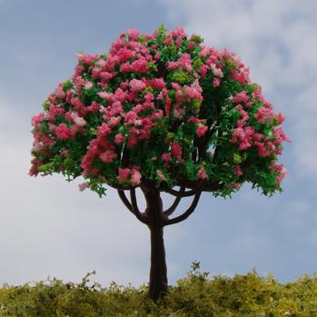 一棵开花的树 朗诵