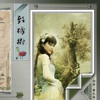 【诗歌】致橡树(舒婷)