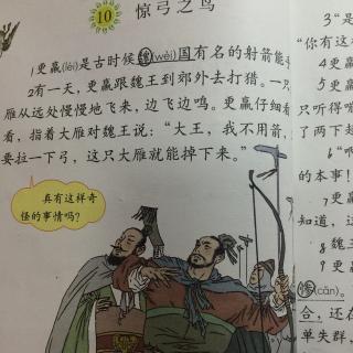 10,惊弓之鸟