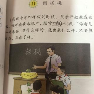 11,画杨桃