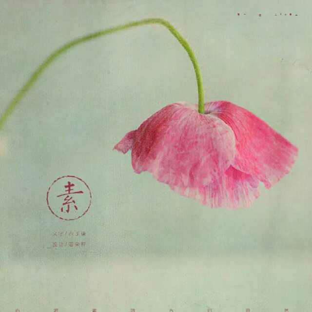 心若素简,方归自然