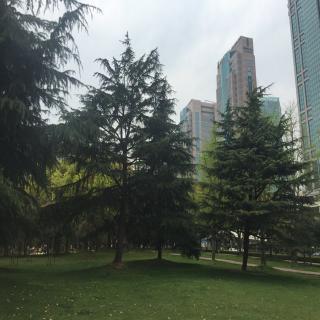 《论语八佾篇》总结