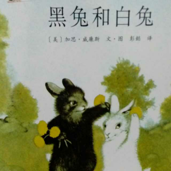 黑兔和白兔