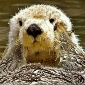 《霞光》[精灵世纪.片尾曲]曲锦楠]