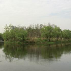 云水禅心-古筝|音乐|江苏音乐电台|纯音乐|最好