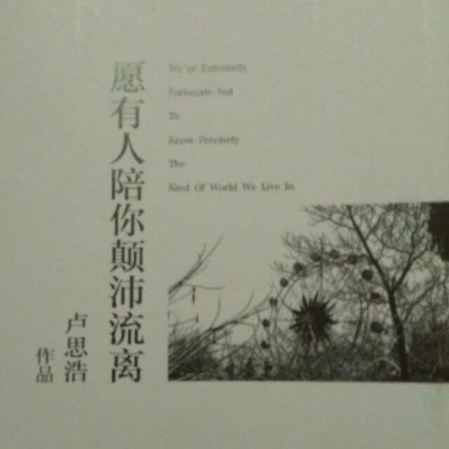 世界太大,听听自己～卢思浩《愿有人陪你颠沛流离》