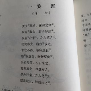 关雎简谱_关雎简谱歌谱(2)