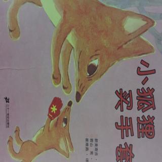 71. 小狐狸买手套