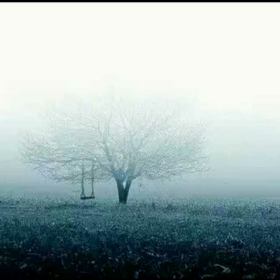 七月上|音乐|中国音乐电台|民谣|中华民谣原唱免