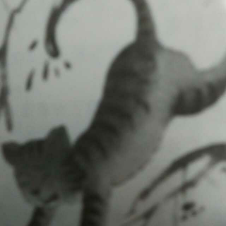 笑猫日记系列《 虎皮猫,你在哪里12》刘金灿