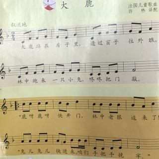 大鹿简谱伴奏