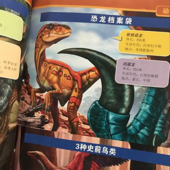 恐龙档案袋