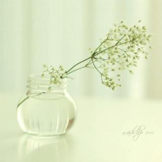 【等你,在雨中 作者:余光中 主播:溢夏】在线收