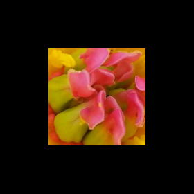 给我~作者:柳色倾城