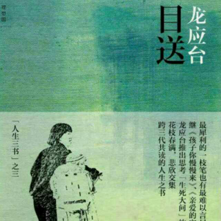 《目送》龙应台——什么