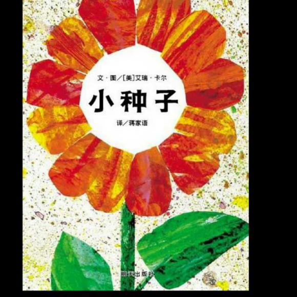 小种子