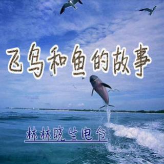 飞鸟与鱼简谱_飞鸟与鱼钢琴谱 器乐乐谱 中国曲谱网