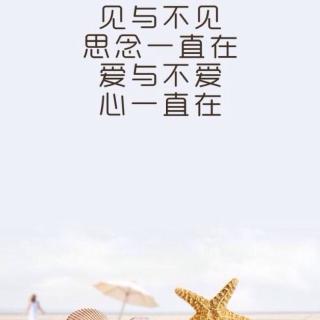 《见与不见》