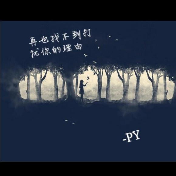 只是,再也找不到打扰你的理由