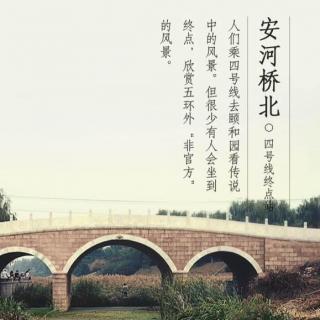 安河桥表达了什么感情图片