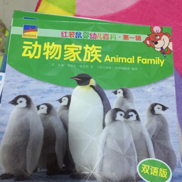 angel动物家族animal family