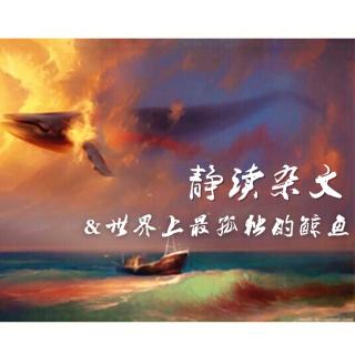 世界上最孤独的鲸鱼