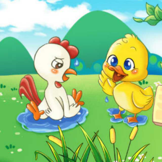 儿童安全故事系列小公鸡和小鸭子