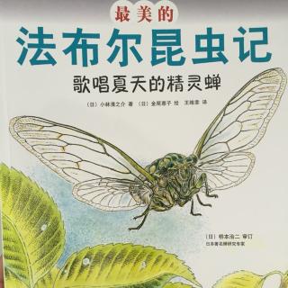 最美的法布尔昆虫记05:歌唱夏天的精灵蝉