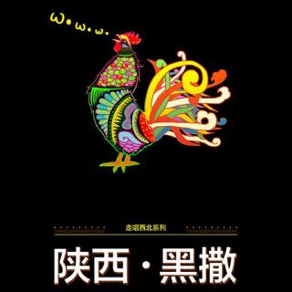 第28期:陕西美食黑撒美食溪食京街图片
