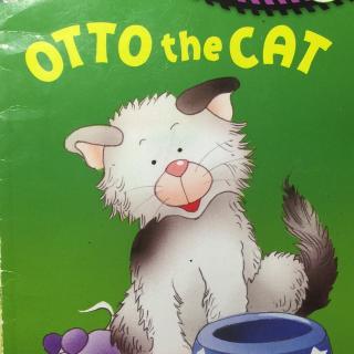 otto the cat