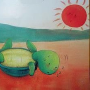 小乌龟晒太阳
