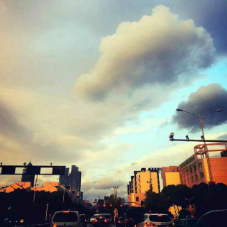 【梦里花开的样子】在线收听_小顾老师的故事