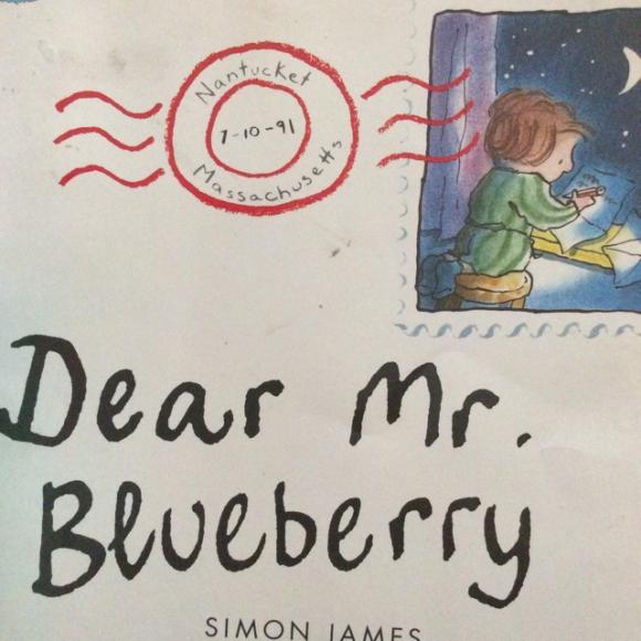 【cary读英文绘本】dear mr.blueberry