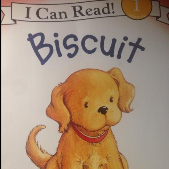 biscuit