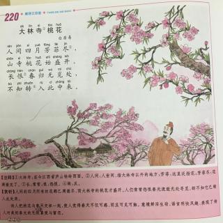 《大林寺桃花》古诗