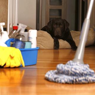 【cleaning house跟打扫房间有关系吗?】在线
