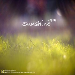 头像 男生 相识-you are my sunshine