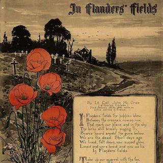 in flanders fields(在佛兰德斯战场)