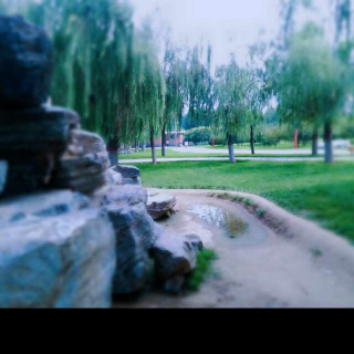 【一段没有稿子的播音,一个时常发生的故事】