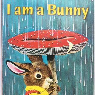绘本之心019 - i am a bunny