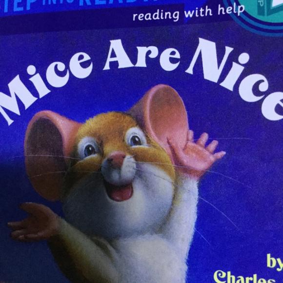 mice are nice day 2
