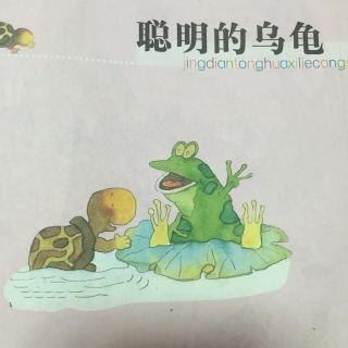 聪明的乌龟