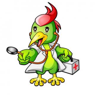 【小鱼姐姐讲故事】329小啄木鸟长大了