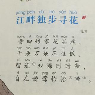 诗歌吟诵4江畔独步寻花杜甫