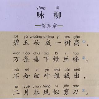 早读古诗词——咏柳