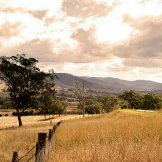 【动漫纯音乐(竖琴版)】在线收听_南隽先生_荔