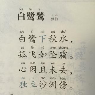 【唐诗】198,《白鹭鸶》李白